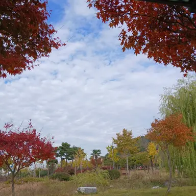 Profile image of 유저