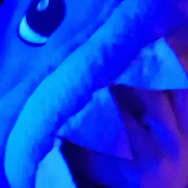 Profile image of Ein