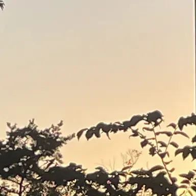 Profile image of 덕개