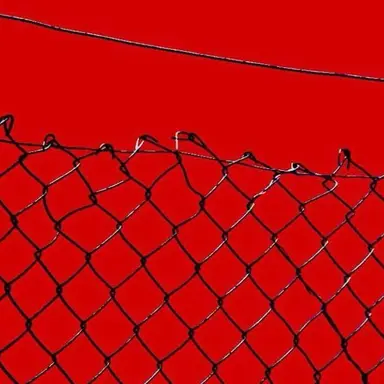 Profile image of 예영인