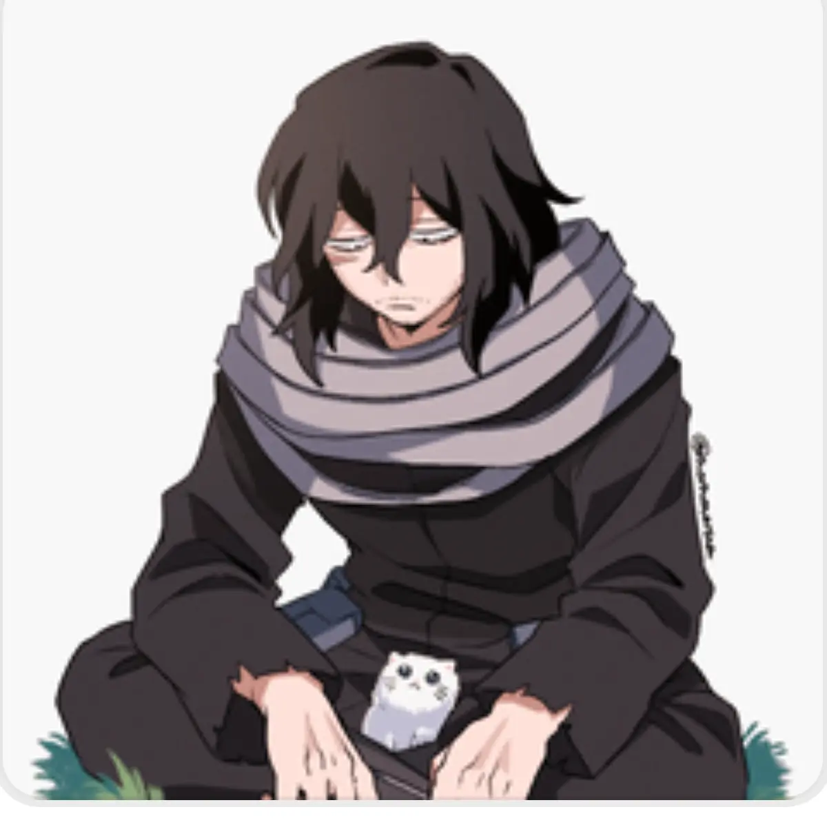 RiskyAnt8891의 雄英高校に拾われた!