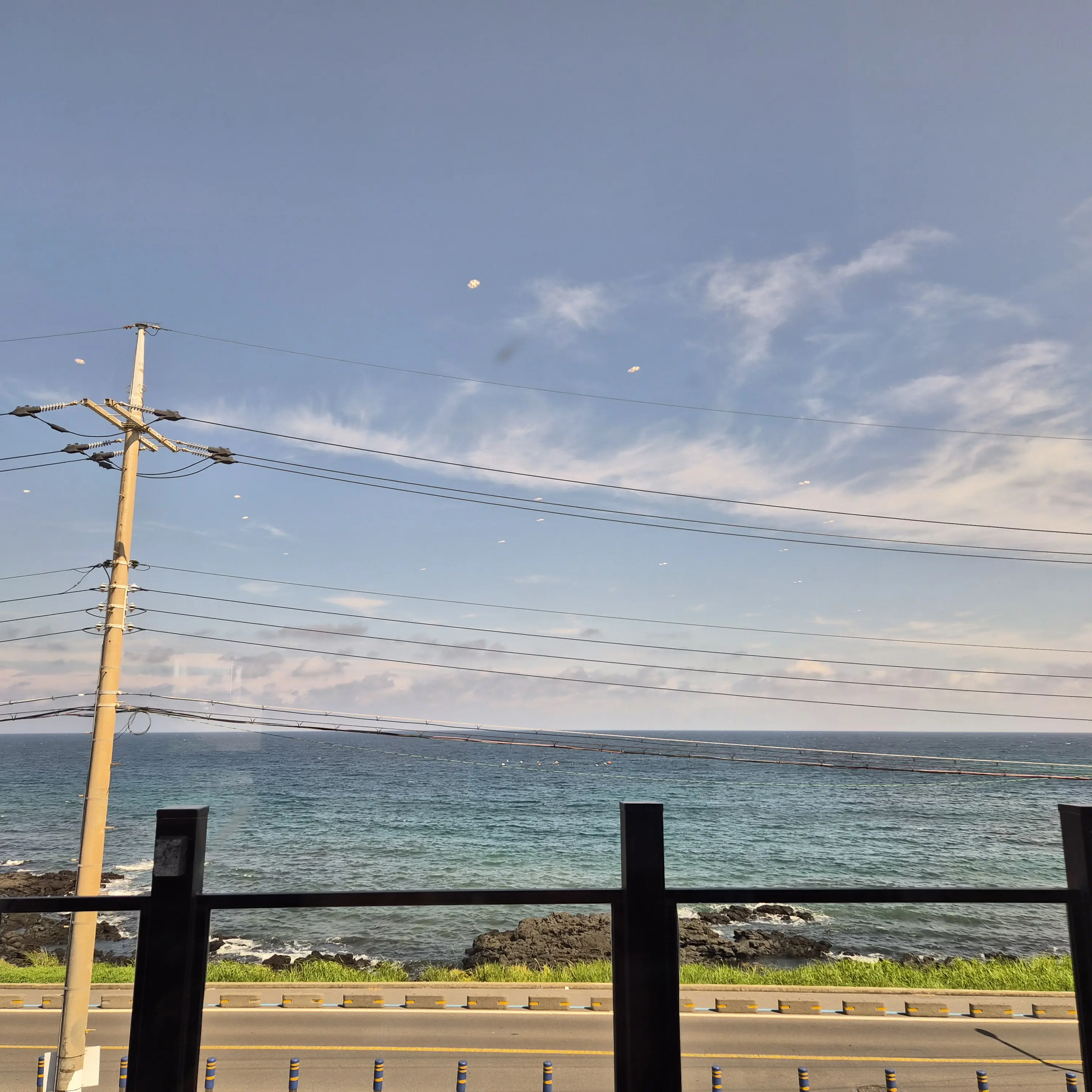 DoughyAunt2469의 포초냥 괴롭히다 님한테 프르스녀냥ㅋㅋ