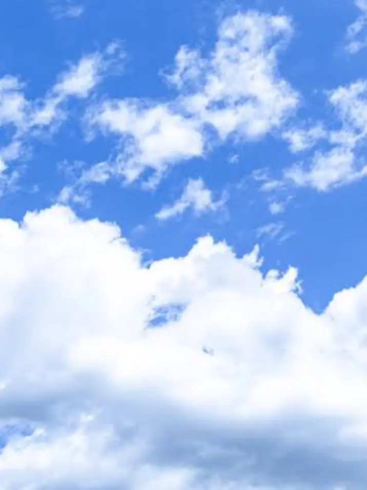 MoodyFruit2658의 青春