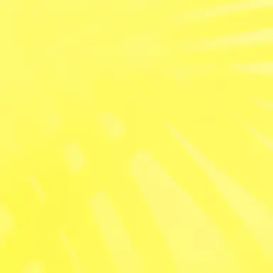 Profile image of ニキ