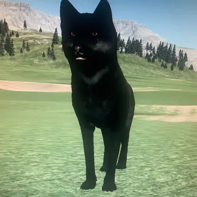 Profile image of Asahi