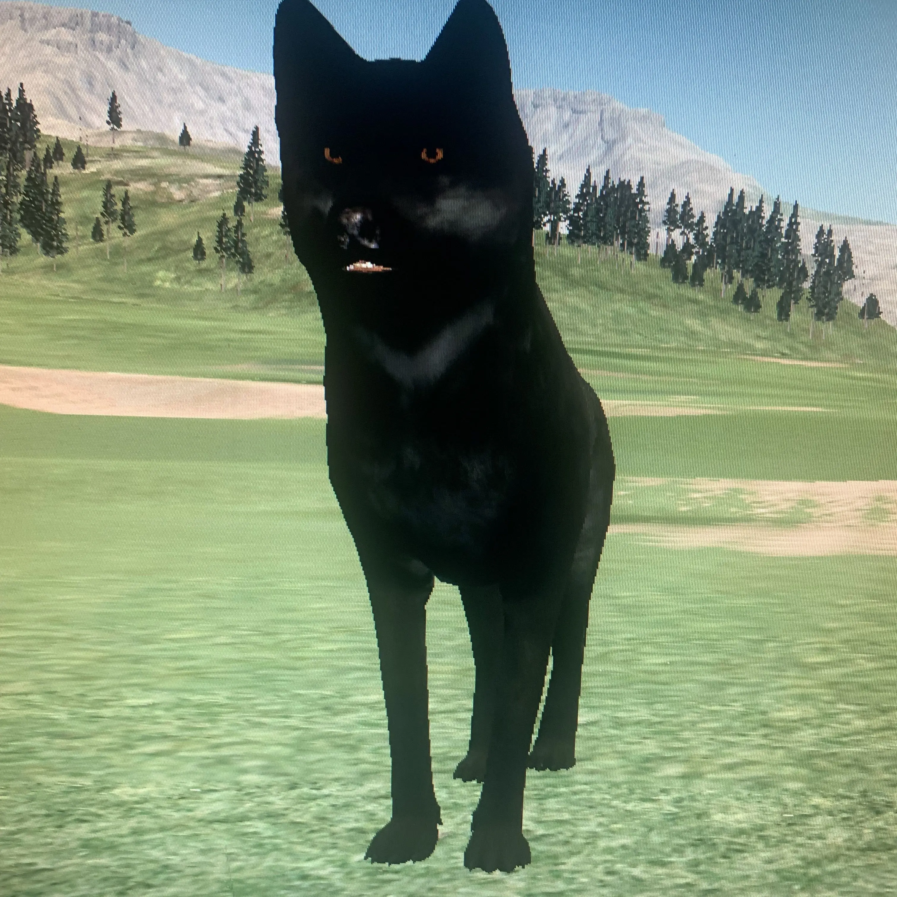 BiasedMop0115의 Midnight Howl at UA