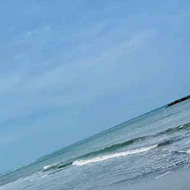 Profile image of ホークス