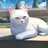 고양이 츄츄