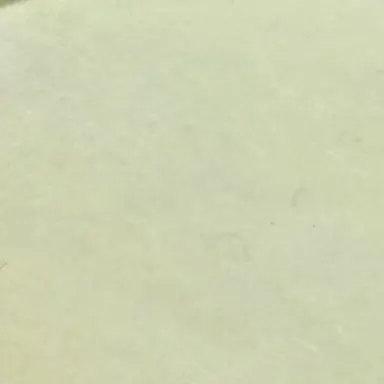 Profile image of 석유진