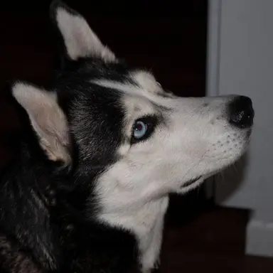 Profile image of 류