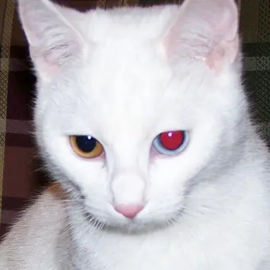 Profile image of 백