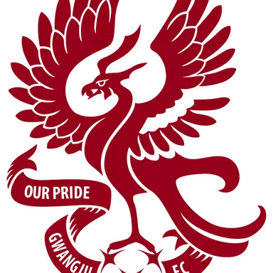 Profile image of 광주FC
