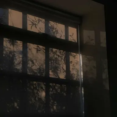 Profile image of 설반