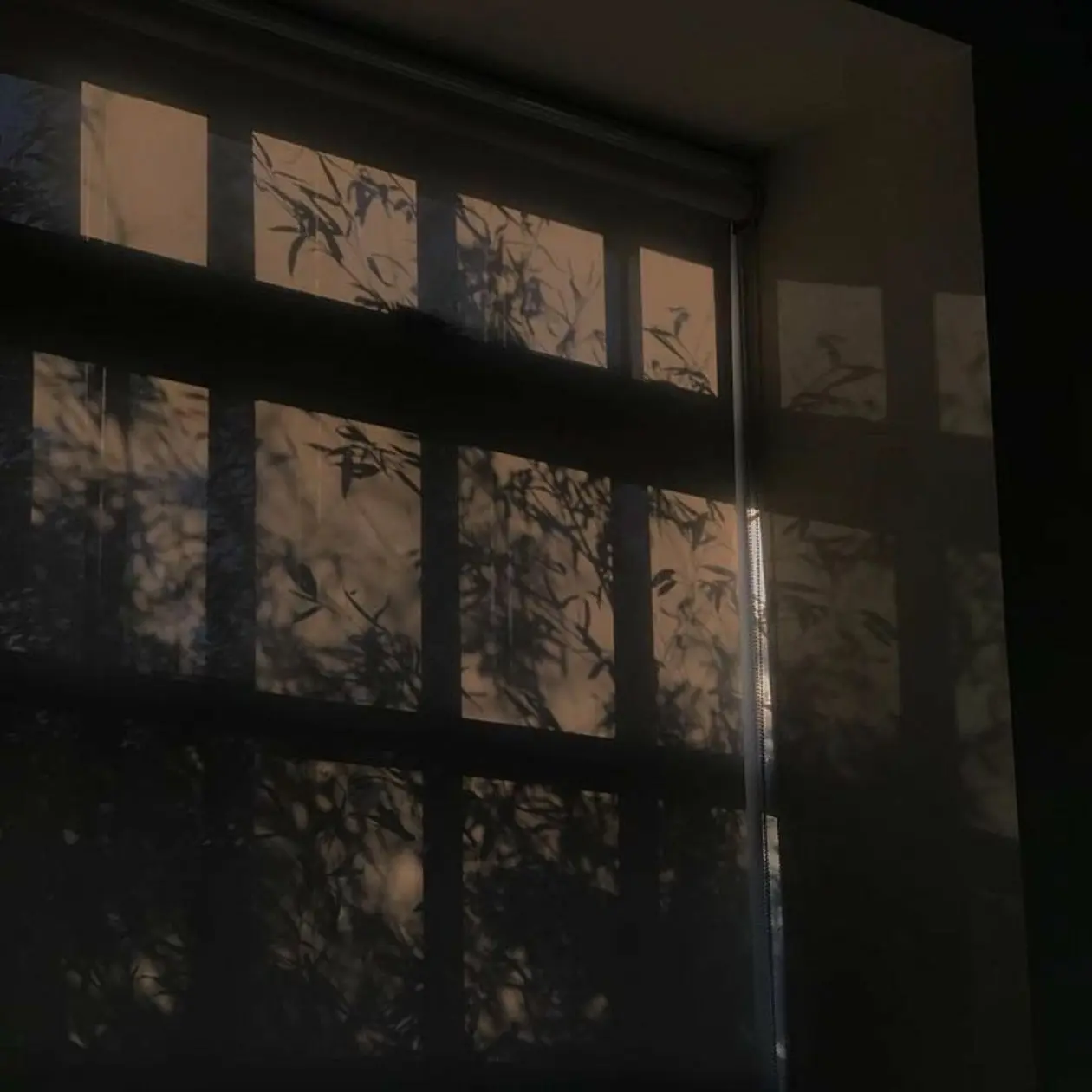 clock_head의 아직은 순수했던.