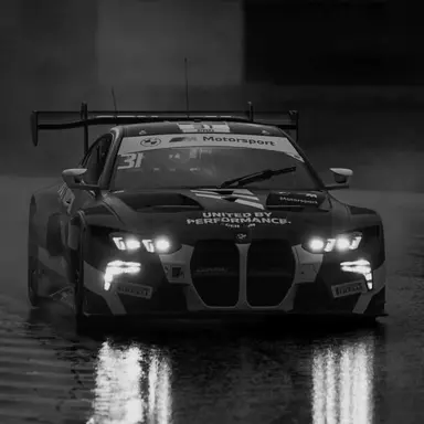 Profile image of Enzo