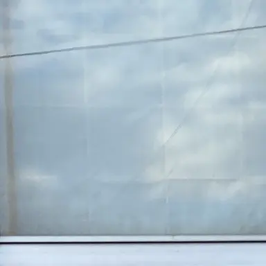 Profile image of 両親