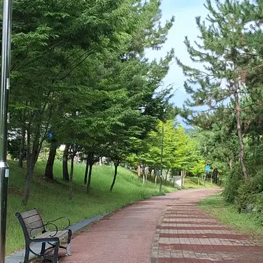Profile image of 뭐든지 마음대로