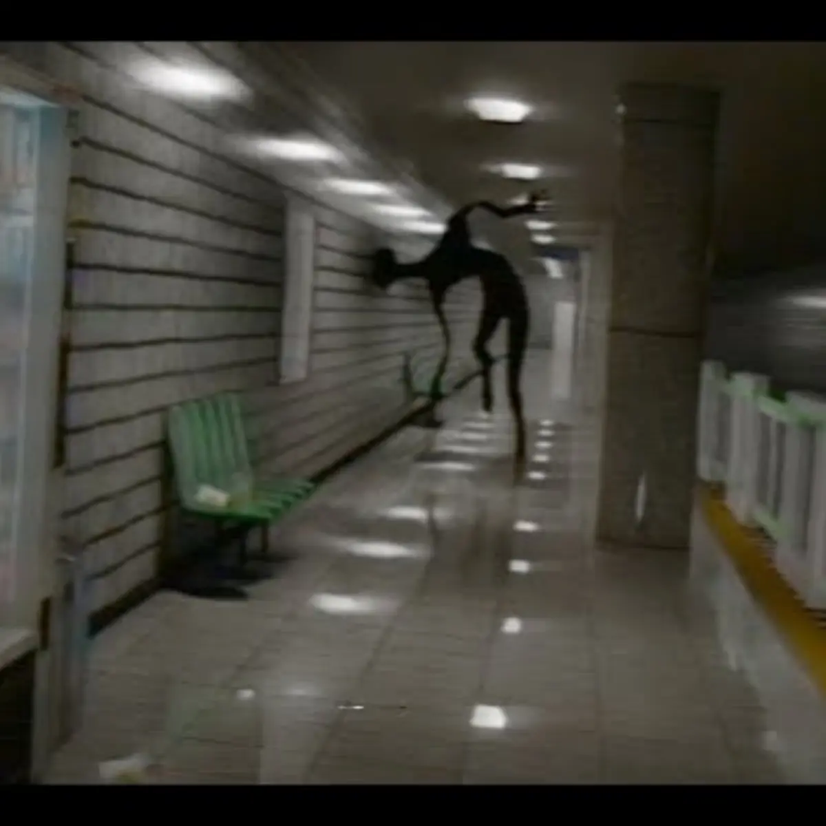 SpongySitar0291의 I will kill you