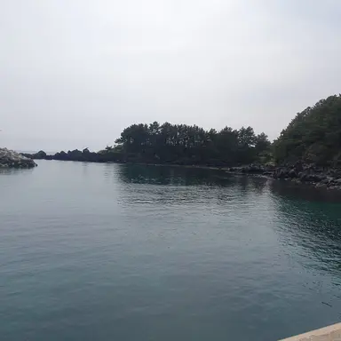 Profile image of 세인