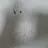 렌