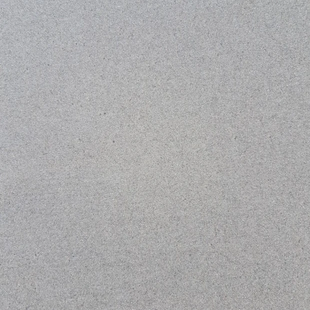 샬롯