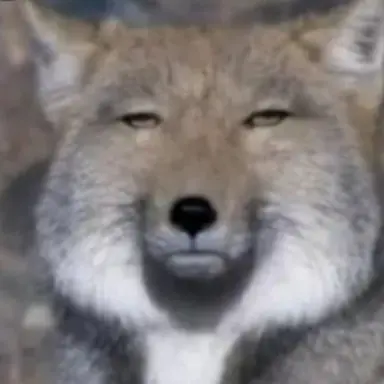 Profile image of 여우