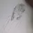 김무현