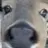류