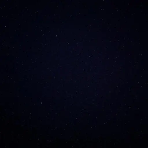 jiyongsin의 권전무