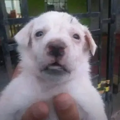 Profile image of 동료