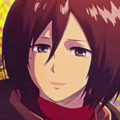 Profile image of ミカサ