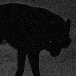 Profile image of イ・ソク