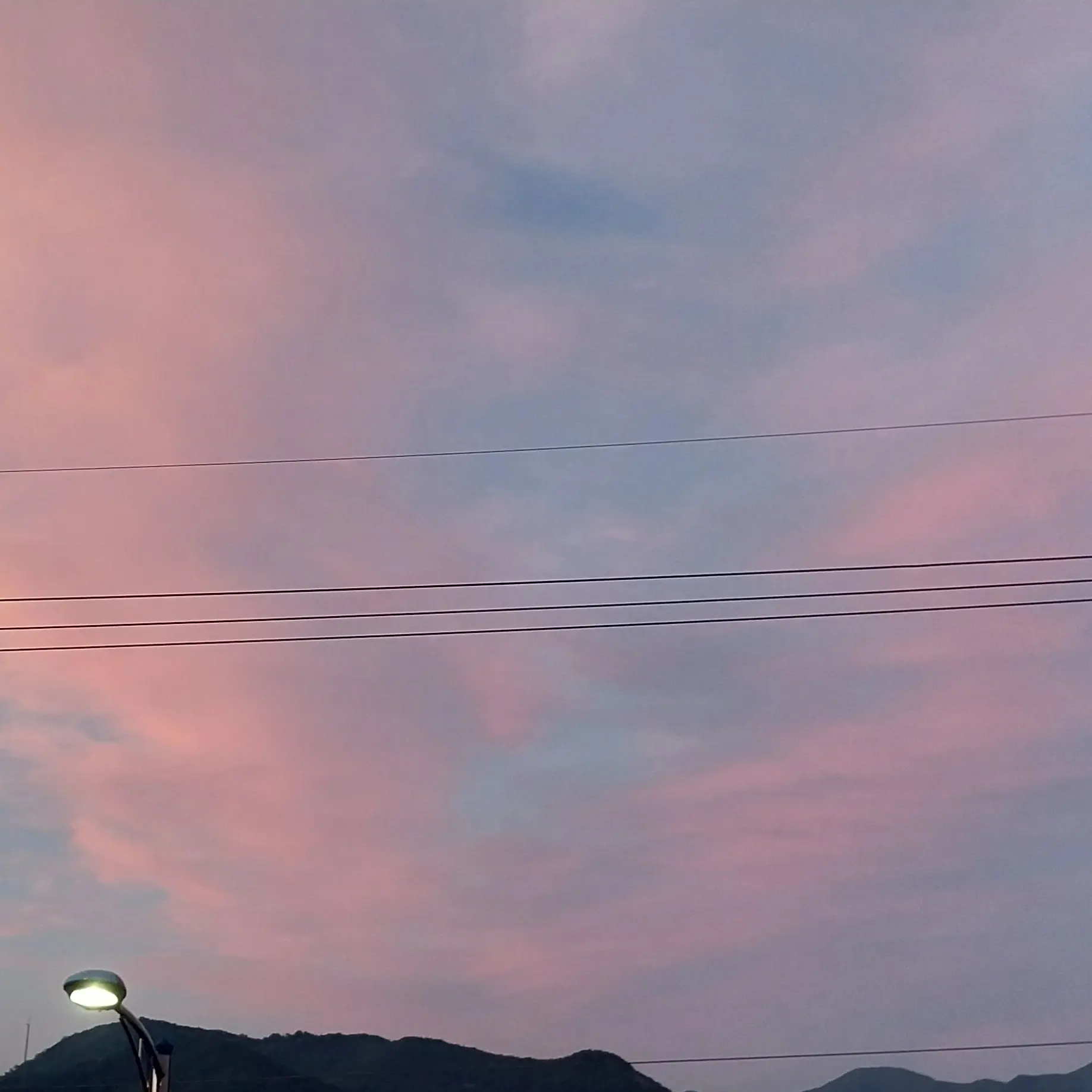 BarrenSeed8005의 샤이니