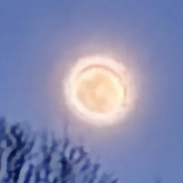 Profile image of 장원영