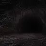 Profile image of トンネルちゃん