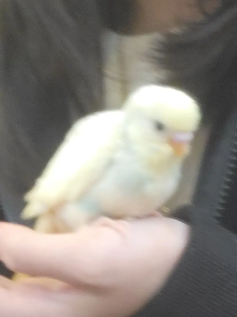 Itsmyheart의 현자님으로 싱글벙글 대화하기