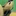 일진