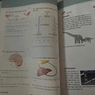 Profile image of 아트풀