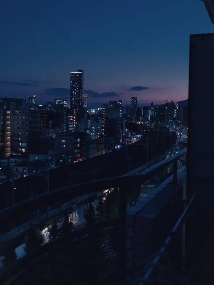 lu2ya의 美醜逆転