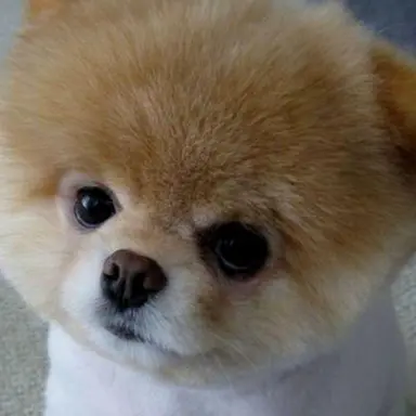 Profile image of 몬스터들