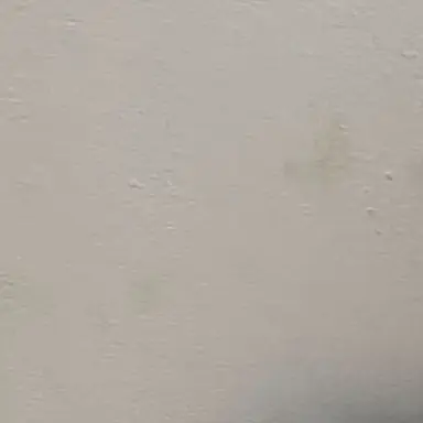 Profile image of 수혁