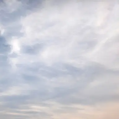 Profile image of 레이먼드