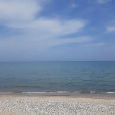 Profile image of 동룡의 아버지