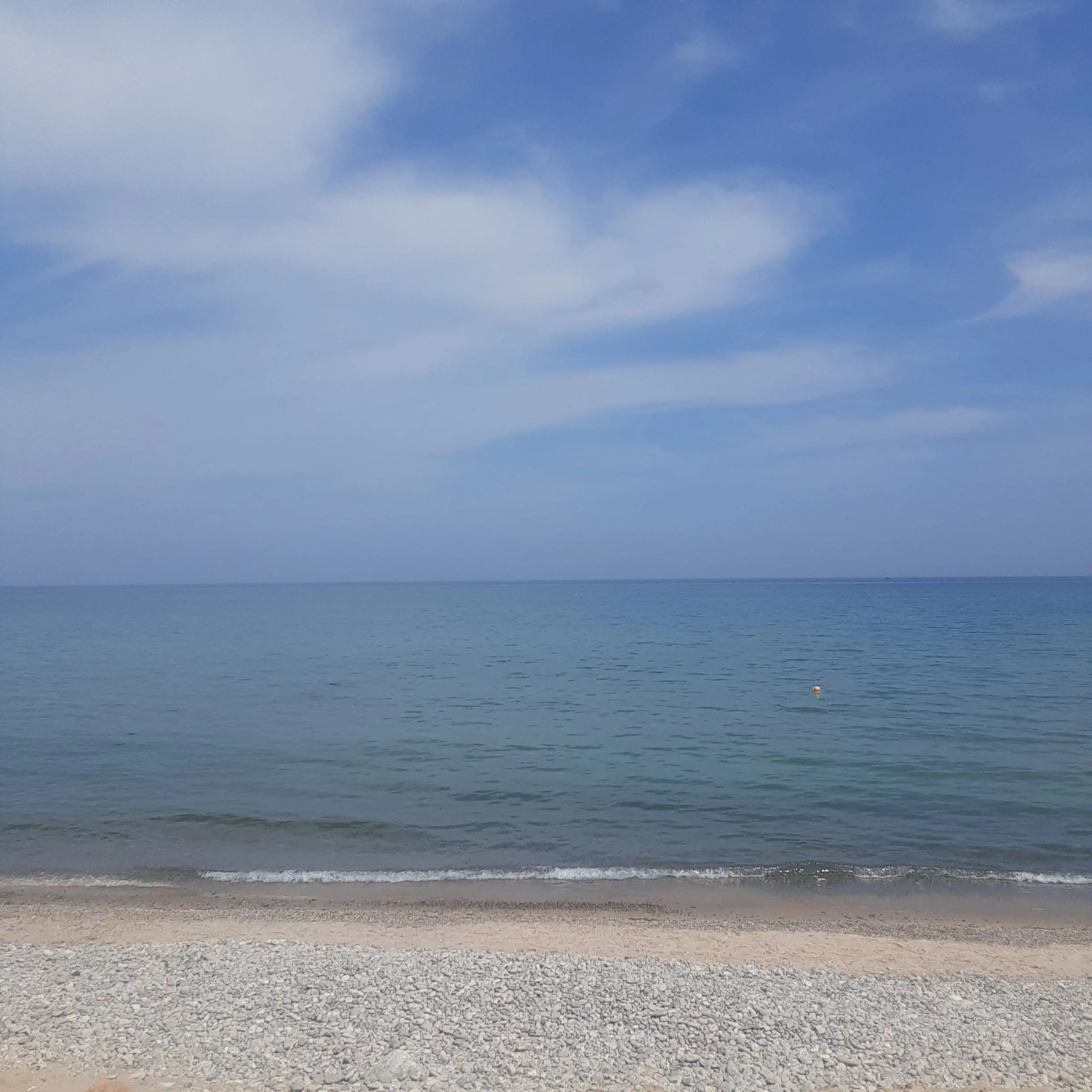 NuttyHeron2151의 ㅎㅅㄱㅎ 가출!