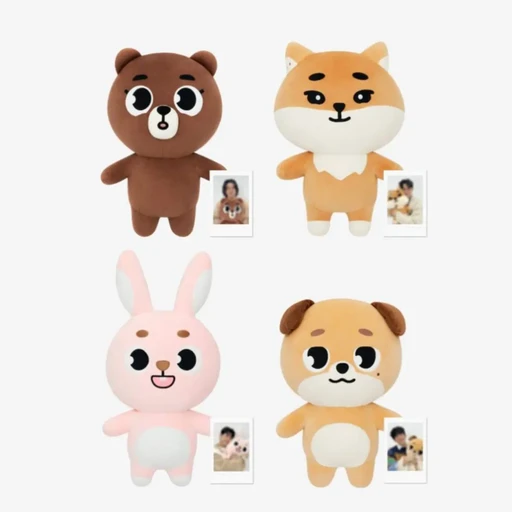 아기 데이식스
