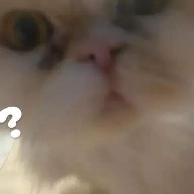 Profile image of 평학