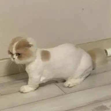 Profile image of 아름