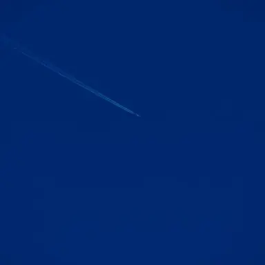 Profile image of 파이브