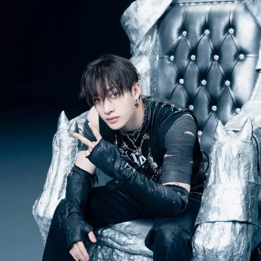 StumpySnake9686의 방찬