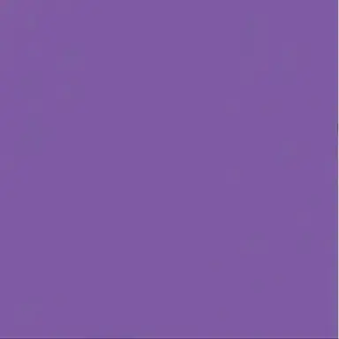 Profile image of 황수현